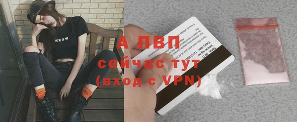мдпв Магас