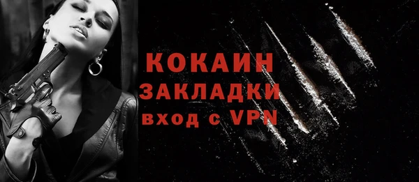 мдпв Магас