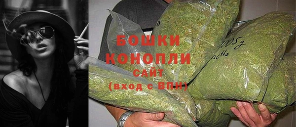 мдпв Магас