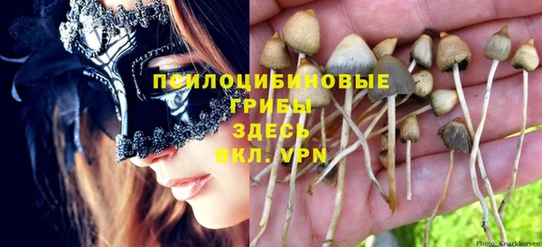 мдпв Магас