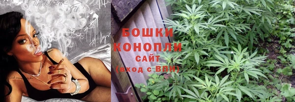 мдпв Магас
