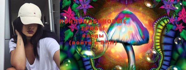 мдпв Магас