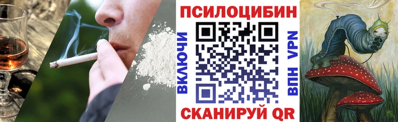 Купить где  Алзамай  Псилоцибиновые грибы GOLDEN TEACHER 